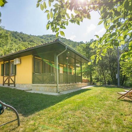 Vila Camelia Golubac Exterior foto